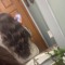 mady