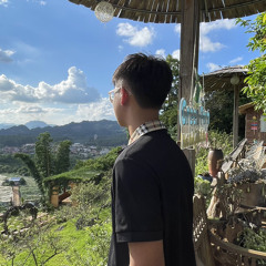 Vũ Việt Anh