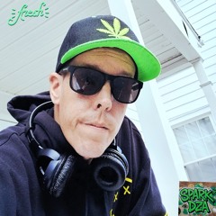 Spark Dza