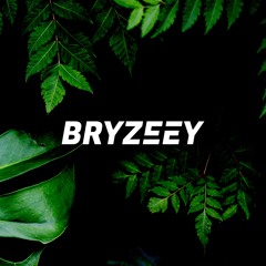 BRYZEEY