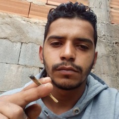 Leonardo Tulio