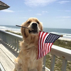 влад в рехабе