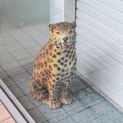 decoyshop