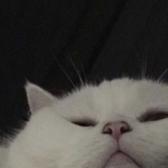 ⭐️