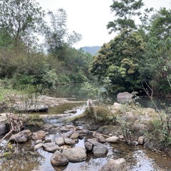 Nguyễn Việt Đức