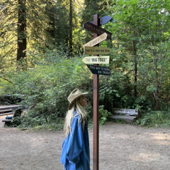 carolineblue
