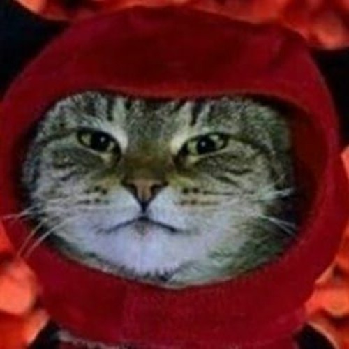 Nix set - 001 (Taylor swift, Bad Bunny,quevedo,...)