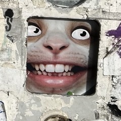 Nori ⚡️🧚🏼✨