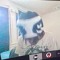 Siamesee (@wersiamesee)