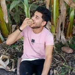 احمد حمدى