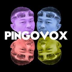 PINGOVOX