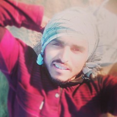 علاء