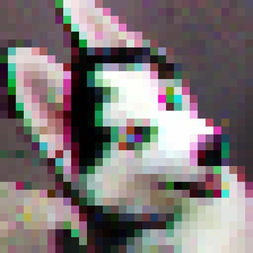 Naxx’s avatar