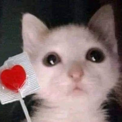 :0