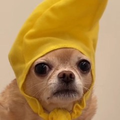 pibble