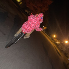 dscott0900
