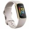 lilfitbit