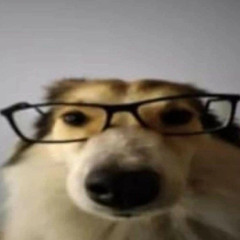 User シ