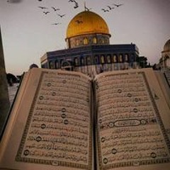 Mohamed King