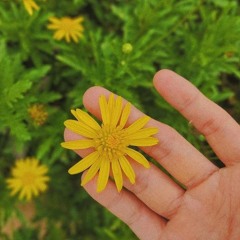 Trần Thụy Thủy Tiên