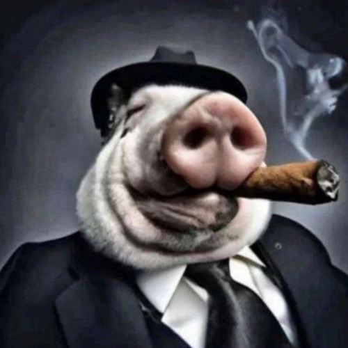 SoundCloud profile picture for @lung