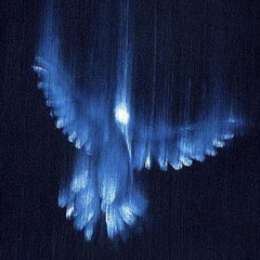 angel1639 ARCHIVE