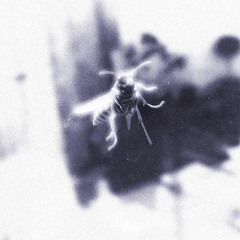 Tsaï