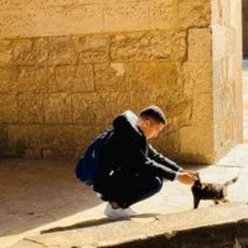 ريان المحسيني تلاوات مختارة  واداء رائع