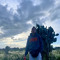 iDylaann