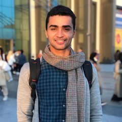 Bassem Adel