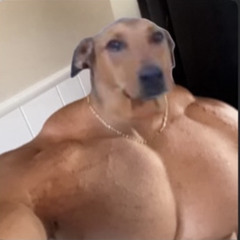 ToaD29
