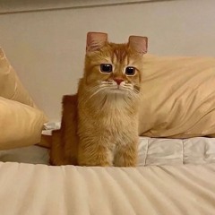 wokeuppain