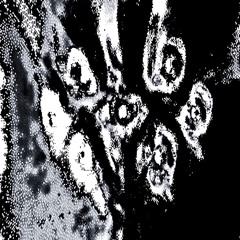 skull voice