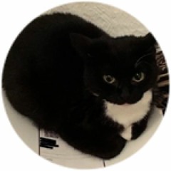 Maxwelllllllllllllllcat