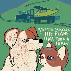 The Plane That Took A Train