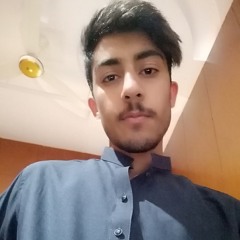 Malik Hayder