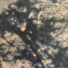 19001105511