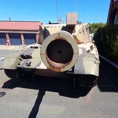 leopard 1