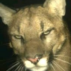 Alejandro Rivero Mendoza