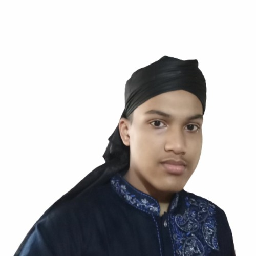 MD. Sifat Al Islam’s avatar
