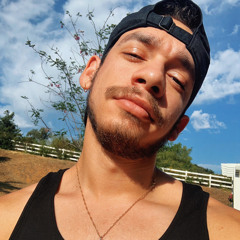 kevin_theslut