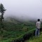 mohd umer