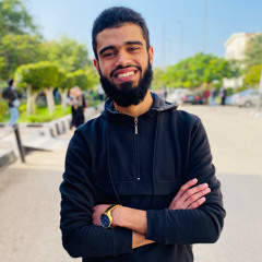 mohamed Bedier
