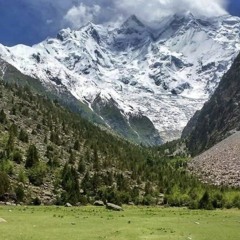 Mohamed Ahmed Qenawy