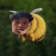 skibidigladiator69