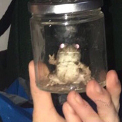 laskaaaaa