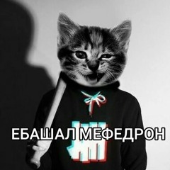 ебашал мефедрон