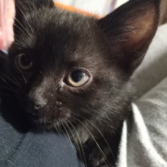 🎀 Evevinha ✝️