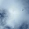 150NUAGE