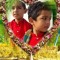M Dilawar